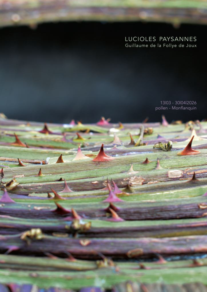 POLLEN ✨ LUCIOLES PAYSANNES