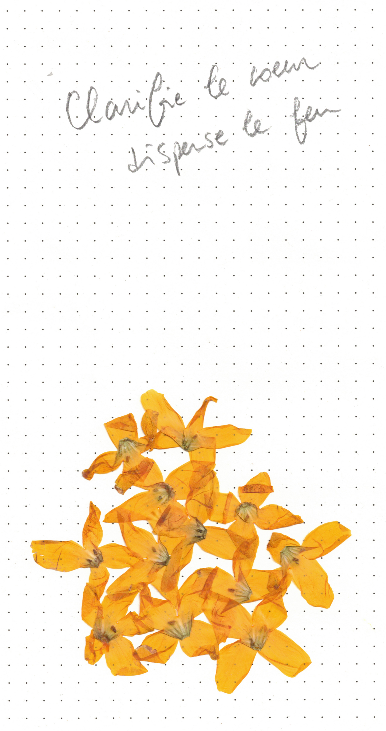 🎨 EXPOSITION | "CLARIFIE LE CŒUR, DISPERSE LE FEU"